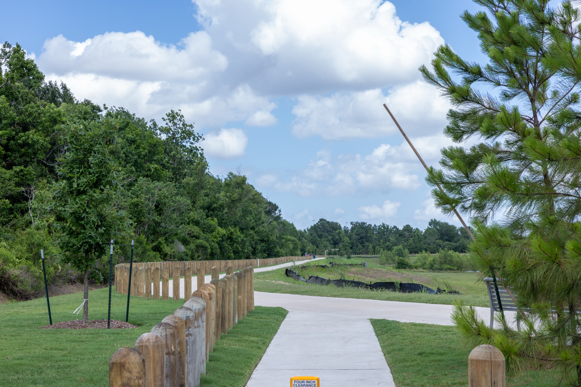Photo from the Curtis Graves Park ribbon cutting and reception